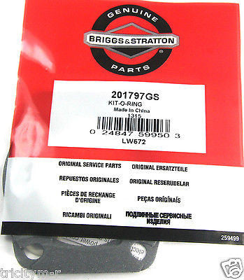 201797GS Gasket Kit  Briggs & Stratton / Brute Air Compressor Genuine OEM Parts