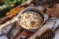 Cheese and Mushroom Risotto