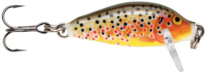 Countdown 1 in. Hard Bait