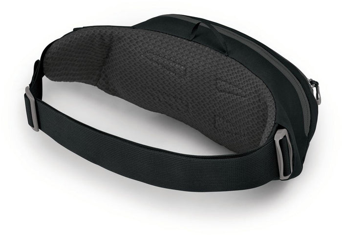 Daylite Waist Pack - 2 L