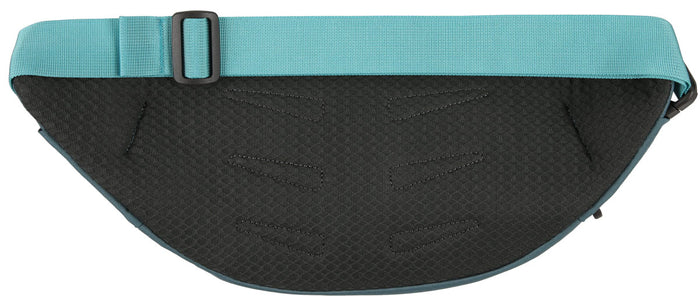 Daylite Waist Pack - 2 L