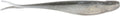 ElaZtech Soft Bait - 5/PK