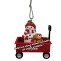 This charming Ganz Amanda Christmas Ornament keepsake adds a personal and festive touch to your Christmas tree décor.