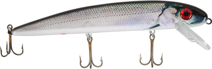 07-SHINER / 10 in.