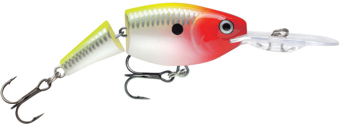Jointed Shad Rap Crankbait