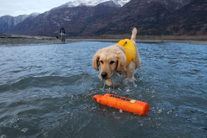Lunker Dog Floating Toy