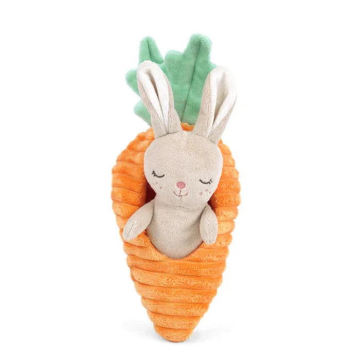 plush play set features an adorable removable bunny and a soft, bright orange carrot.