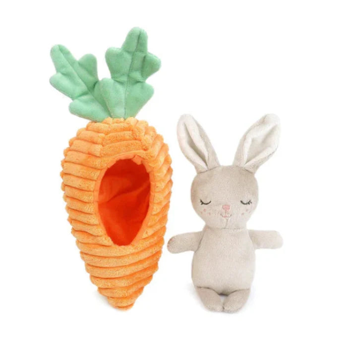 plush play set features an adorable removable bunny and a soft, bright orange carrot.
