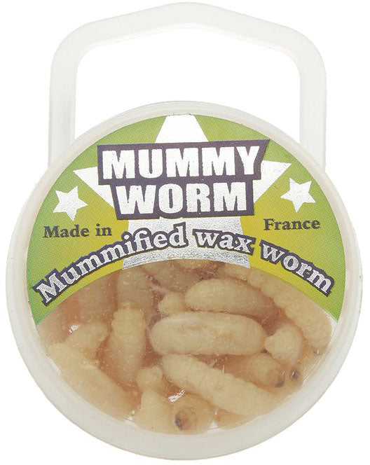 Mummy Worm Soft Bait