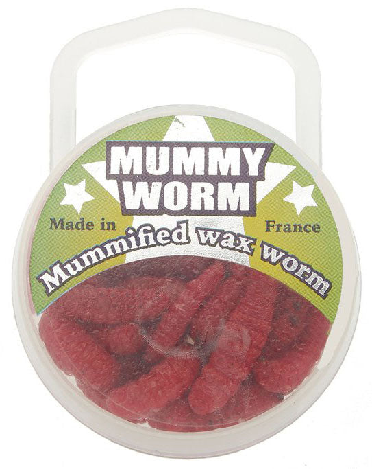 Mummy Worm Soft Bait