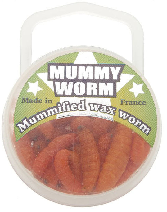 Mummy Worm Soft Bait