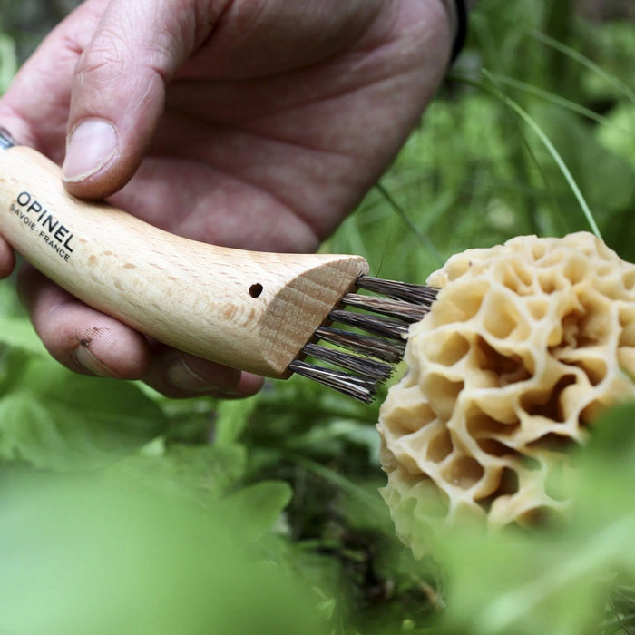N°08 Mushroom Fixed-Blade Knife