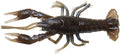 Ned Craw Soft Bait
