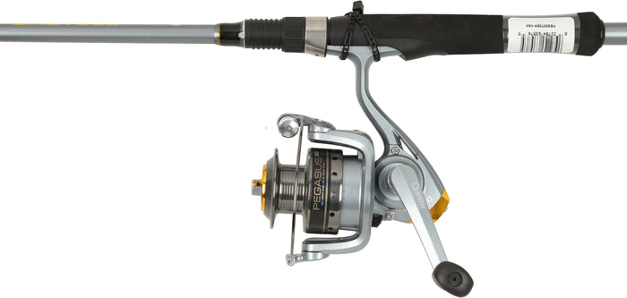 Pegesus Spinning Rod and Reel Combo - 2 pcs
