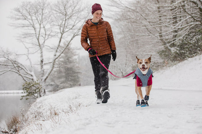 Polar Trex Dog Winter Boots - 2/PK