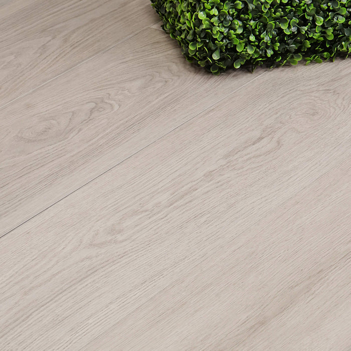 Close-up of a Siberian Oak Rigid LVT flooring with a green plant in the corner.