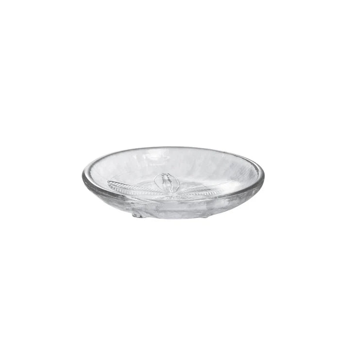 A white plate showcasing a sand dollar pattern, elegantly designed.