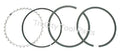 VS205100AJ Campbell Hausfeld Air Compressor VS Pump  Ring Kit