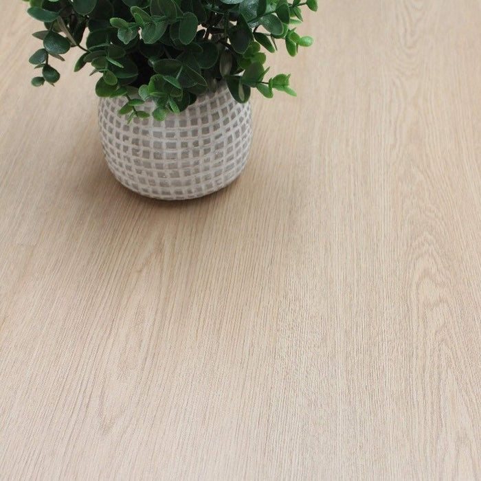 Close-up of Washed Oak Essentials Laminate Flooring with a plant in the background.
