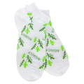 WSLILOW_933_Arugula