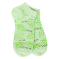 WSLILOW_333_Basil_1