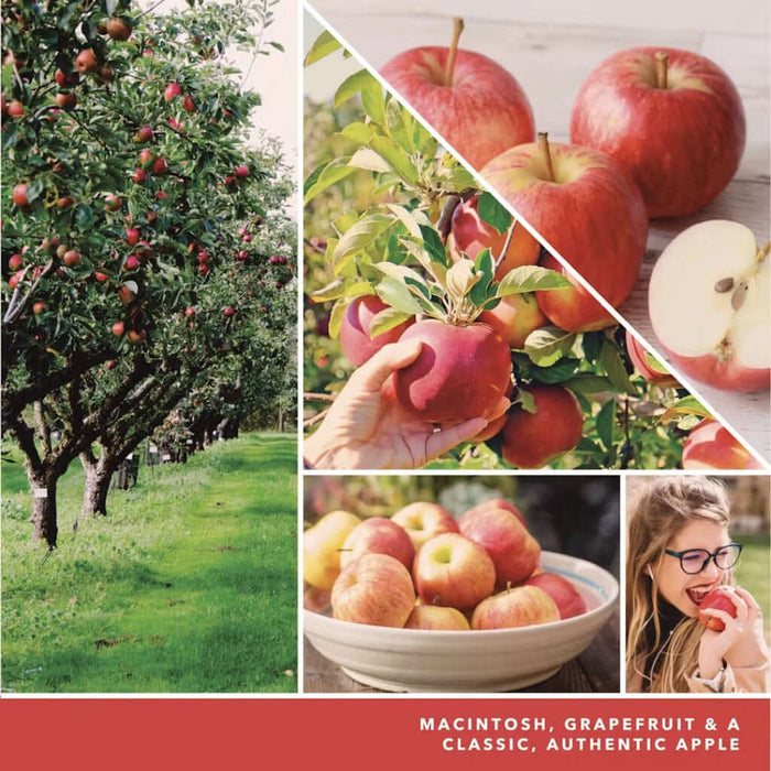 Collage of images showing apples in an orchard, on a tree, being held, in a bowl, and a person eating an apple.